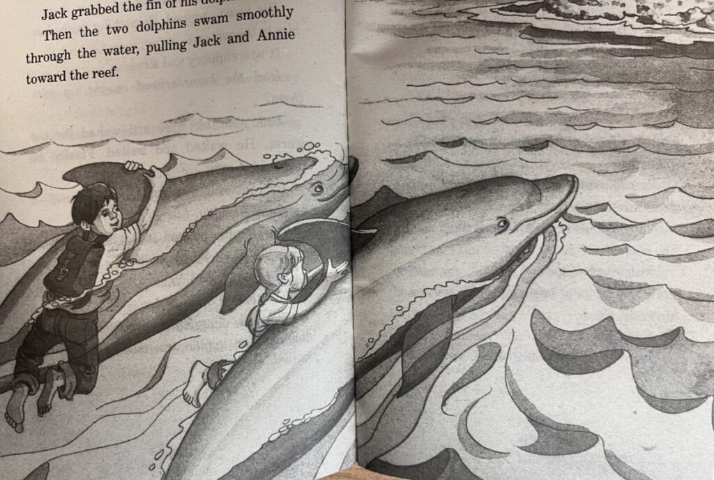 Magic tree house 9권 7-8장에 나오는 돌고래와 잭과 애니